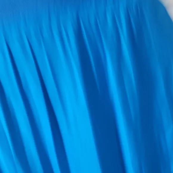 Anthropologie Blue Pleated Maxi Skirt