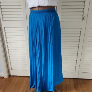Anthropologie Blue Pleated Maxi Skirt