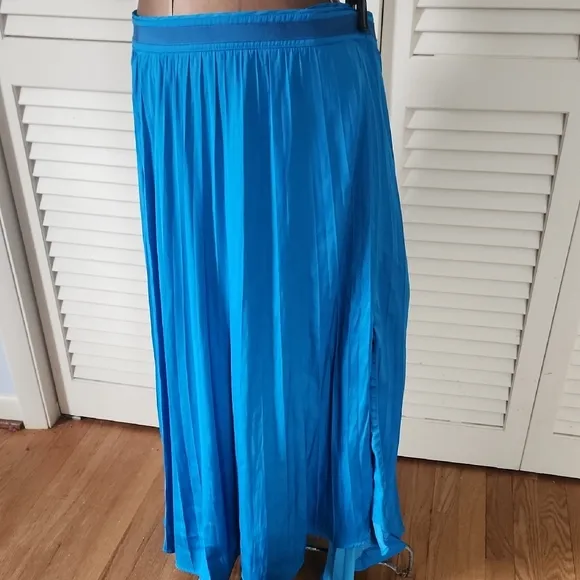 Anthropologie Blue Pleated Maxi Skirt