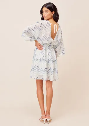 Nina Chevron Stripe Mini Dress