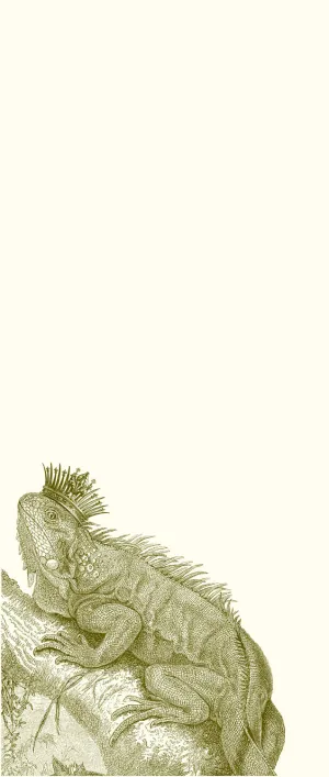 Royal Iguana Long Pad