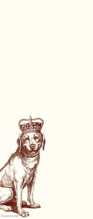 Royal Labrador Long Pad