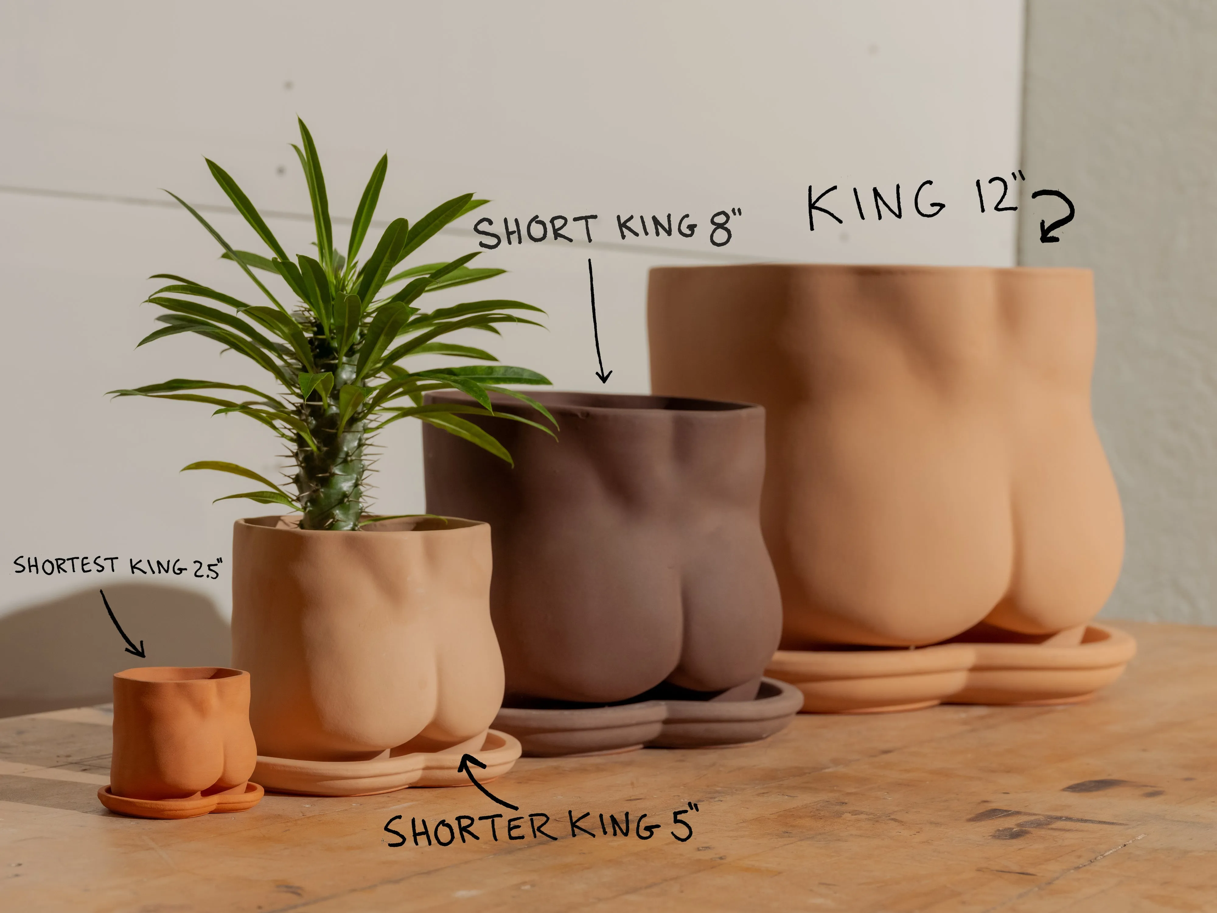 Terracotta Bootie Pot