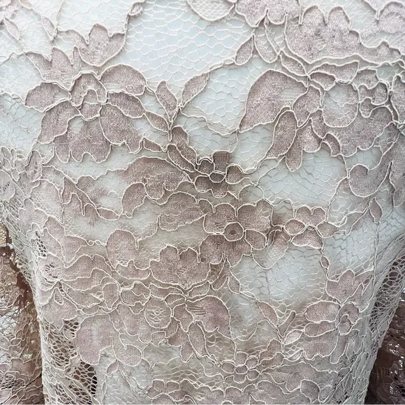 TOBI Blush Pink Nude Lace Scallop Plunge Chiffon Mini Dress Bell Sleeve …