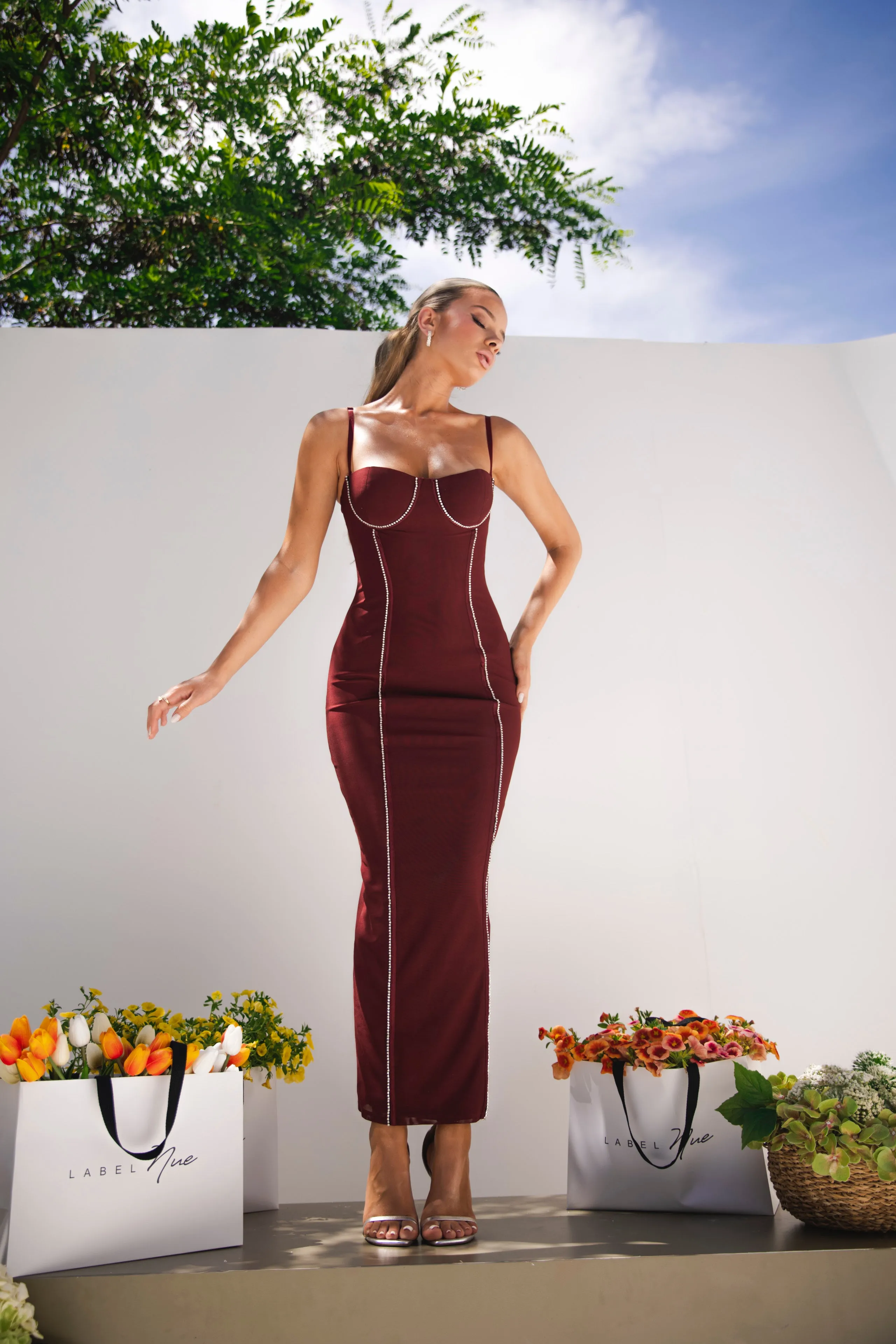 Zendaya Cherry Dress